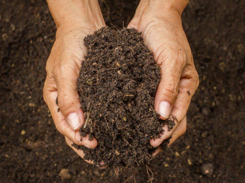 Чому виснажується ґрунт? 2 причини
